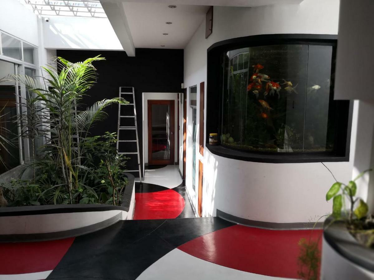 Apartments And Rooms Distecon グアテマラシティ エクステリア 写真