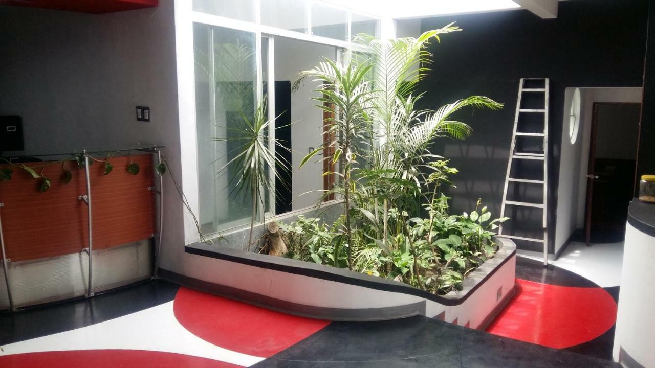 Apartments And Rooms Distecon グアテマラシティ エクステリア 写真